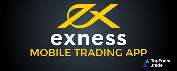 Discover the World of Trading with Exness Forex Broker