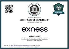 Discover the World of Trading with Exness Forex Broker